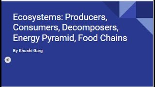 Ecosystems: Producers, Consumers, Decomposers, Energy Pyramid, and Food Chains