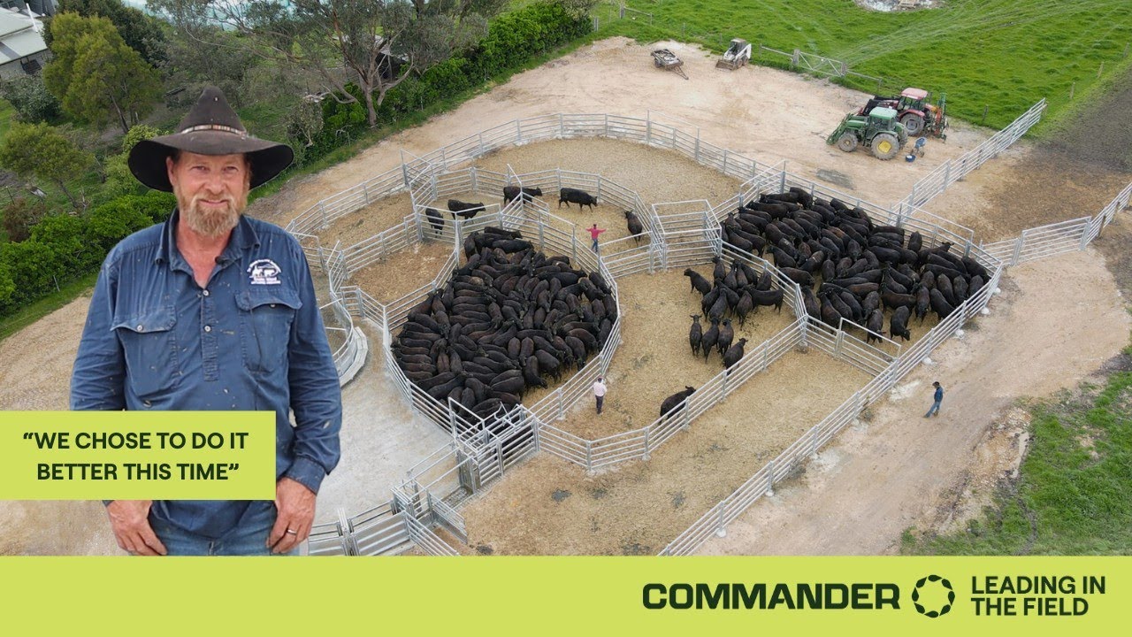Safer Cattle Handling | Hear from Ray | Cattle Commander Yards