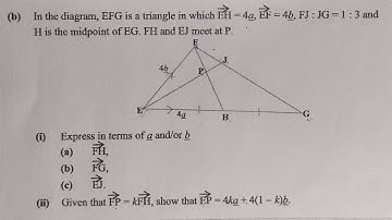 Vectors-2024 Maths paper 2 internal fully answered