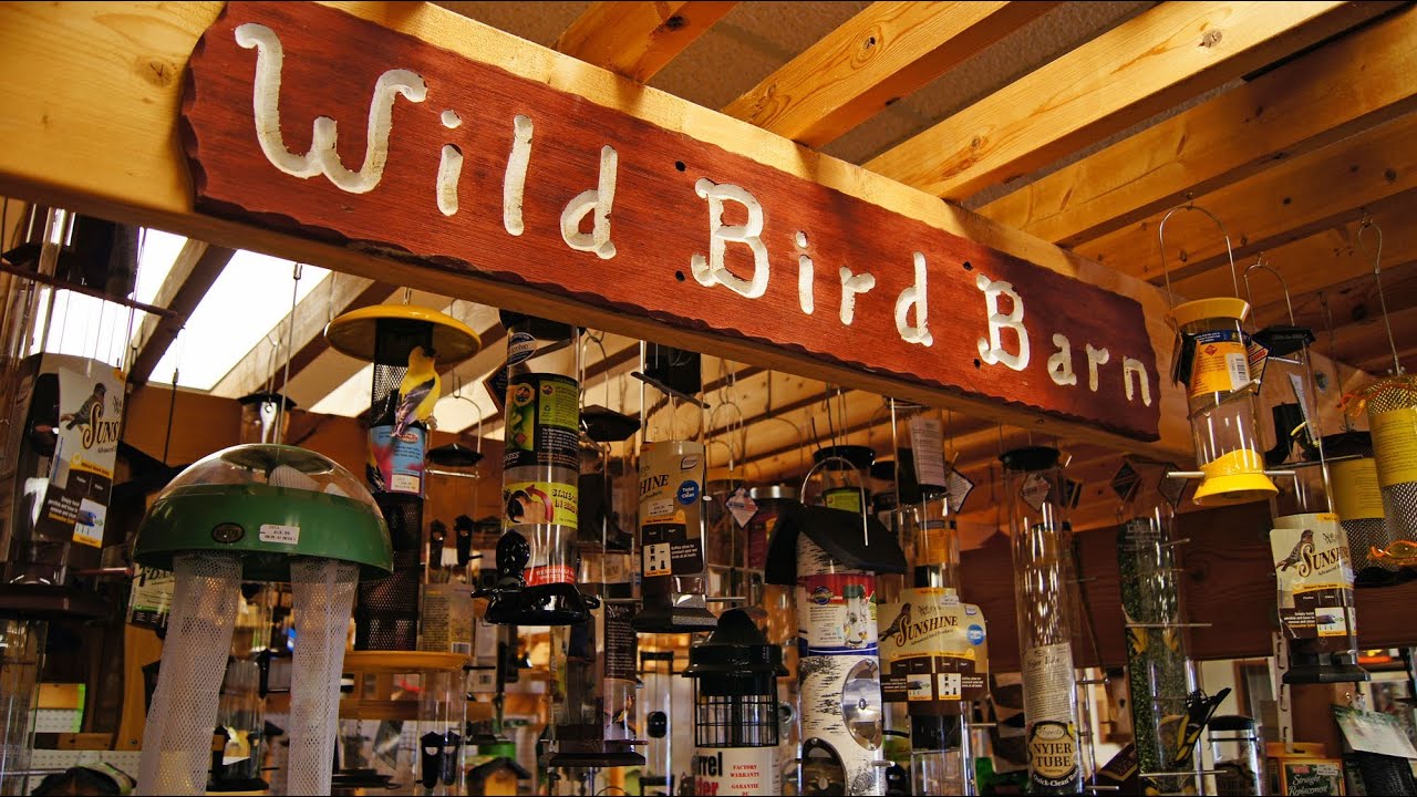 Wildlife Souvenir & Gift Shop Serving Baraboo & WI Dells, WI area