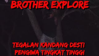 Download Lagu TEGALAN KANDANG DESTI PENGIWA TINGKAT TINGGI ABASAN. MP3 Download Lagu TEGALAN KANDANG DESTI PENGIWA TINGKAT TINGGI ABASAN. MP3