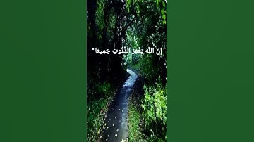 القارئ أنس محمد عاطف