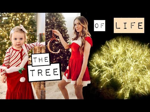 chatwin-christmas-house-&-decor-|-the-special-tree-of-life