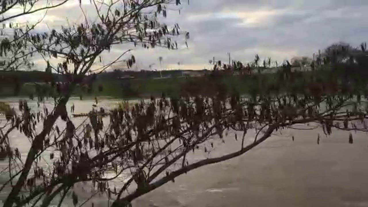 Oostanaula River Kayaking Rome, 28 Foot Flood Waters