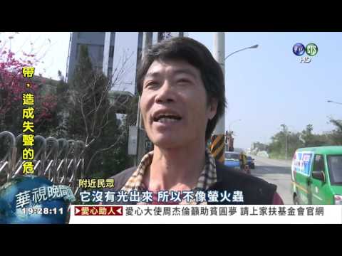 蟑螂天上飛? 創意路燈被嫌爆