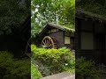 Blue Hydrangeas and Waterwheel in Tokyo | Kyodo no Mori Ajisai Festival 💙🌿