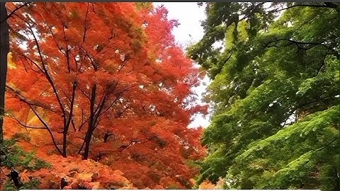 دعاء لتيسير الأمور #قرآن#explore #تيك_توك #اسلام#اذكار #foryou #ترند#رزق #لايك#اكسبلور#دين#دعاء#رائج