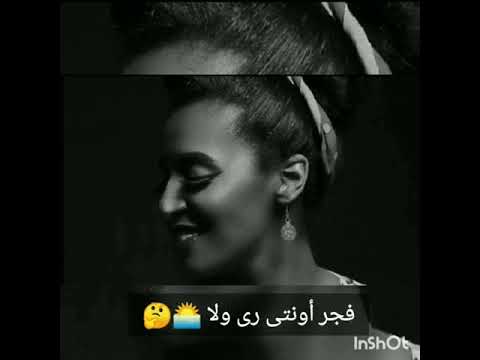 ووو زول ابا اونتى اقوقى مابلنى ابو صدقى الفن
