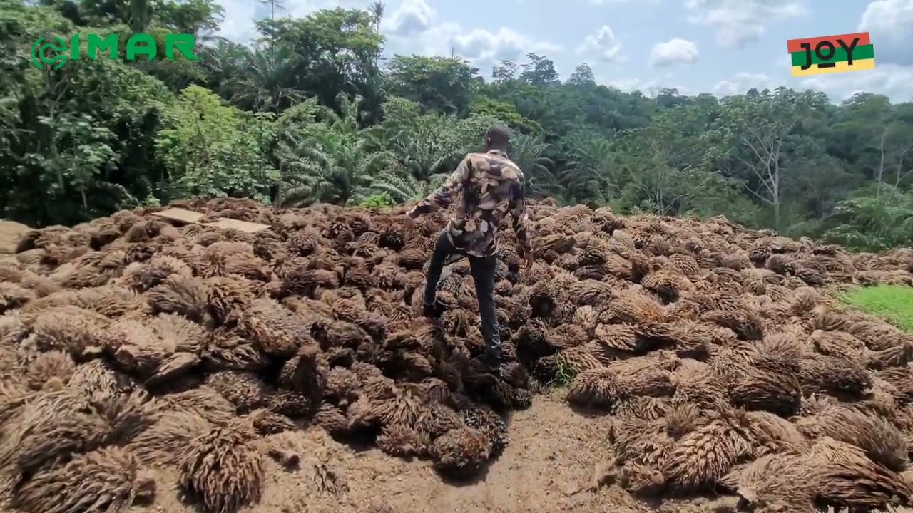 valorisation des déchets d'huilerie de palme
