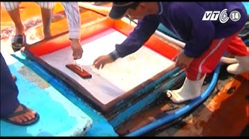 VTC14_Khánh Hòa thành lập nghiệp đoàn nghề cá đầu tiên