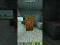 ARROW DOOR ☠️ | #minecraft #shorts #viralvideo