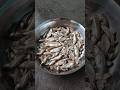 Mourla Macher Talk Recipe Bengali Cooking Shorts Video Youtube Shorts 