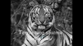 kata-kata harimau loreng