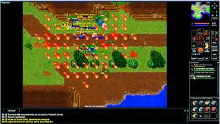 FoxWorld Enforced