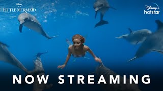 The Little Mermaid | Now Streaming | English | DisneyPlus Hotstar
