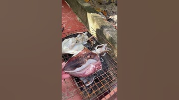 Mực lá nướng || Squid BBQ #short