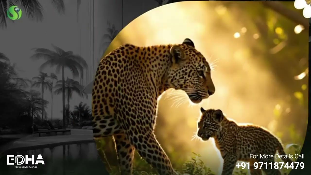 Signature Global Cloverdale SPR, Sector 71, Gurgaon