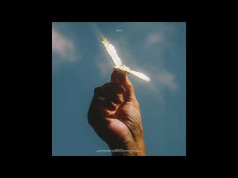 Brwn - Bird(Feat. Life of Van Gogh) Official Audio