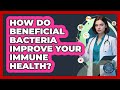 How Do Beneficial Bacteria Improve Your Immune Health? - All About the Immune System