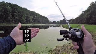 BEST Topwater Bass Lure You've Never Heard Of