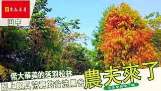 彰化田中彰化高鐵站落羽松大地坪田園私人招待所villa 田中興酪 ...