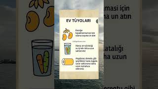 Mutfak Hileleri Şfet Üyolar Üyoları Ibilgiler Şi