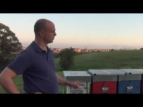 APICOLTURA CIAMPELLI - Testimonianza a fine stagione - settembre 2019 - video from Bee Ethic