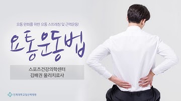 [건강알리미] 요통에 효과적인 