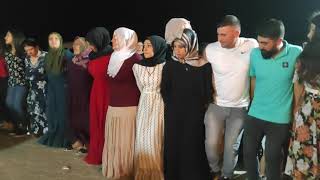 Beritan Aşiret Düğünü (Şiyar Ve Asmin) Resimi