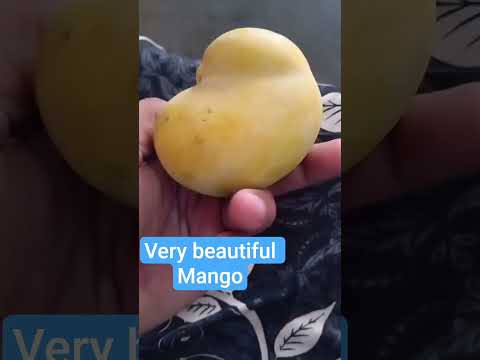 A Beautiful Maogo Allah Ki Qudrat Wildlife 2025 Love Viralyoutube