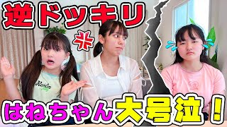 【コラボ】やりすぎた？逆ドッキリされたら～はねちゃん大号泣？【りくチャンネル】 - はねまりチャンネル