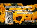 Корова Братца Кролика | Сказки дядюшки Римуса | Джоэль Харрис | аудиокнига