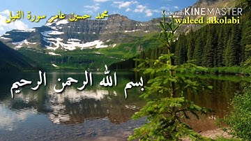 سورة الفيل محمد حسين عامر