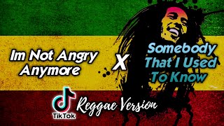 Im Not Angry Anymore x Somebody That I Used To Know (Reggae Version)