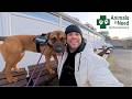 Inside an Animal Rescue Centre in Northamptonshire 🐾