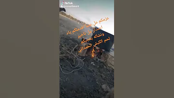 بيني وبينك ظروف العشق سامي 