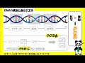 【1-4】ＰＣＲ法をゆるく解説/高校生からわかる/中学生でもわかるかも/教養/化学/入門/ノーベル賞/1907年