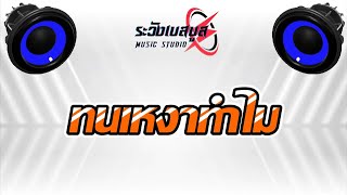 ทนเหงาทำไม เบสแน่นๆ