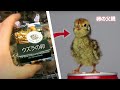 スーパーマーケットで買った卵を孵化する