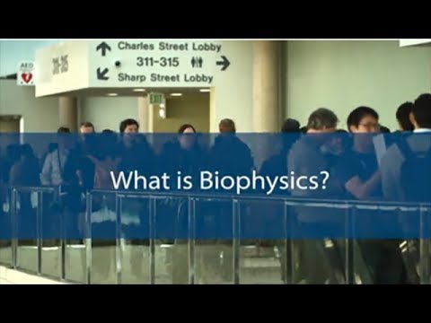 Video: Hvad Er Biofysik