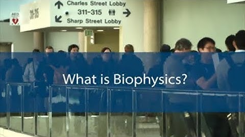 What is Biophysics?