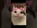 ٢٠ يوليو ٢٠٢٥