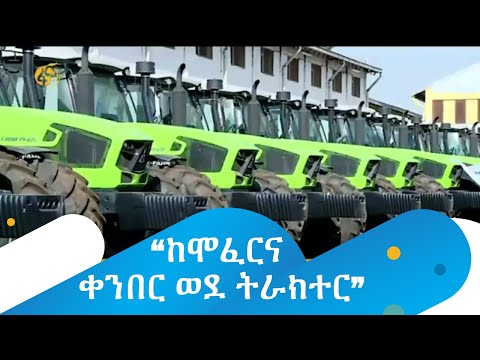 ቪዲዮ: እና ጠላታችን በሞስኮ አቅራቢያ ባሉ ጭጋጋማ መስኮች መቃብር ያገኛል።