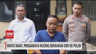 Minta Maaf, Penganiaya Kucing Serahkan Diri ke Polisi