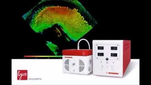 X CLARITY tissue clearing technology