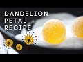 Dandelion Fruit Pastilles Recipe Dandelion Fruit Pastilles Recipe
