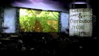 Weed Wars - Marijuana Game Promo screenshot 3