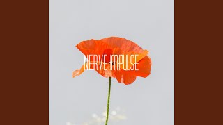 Nerve Impulse