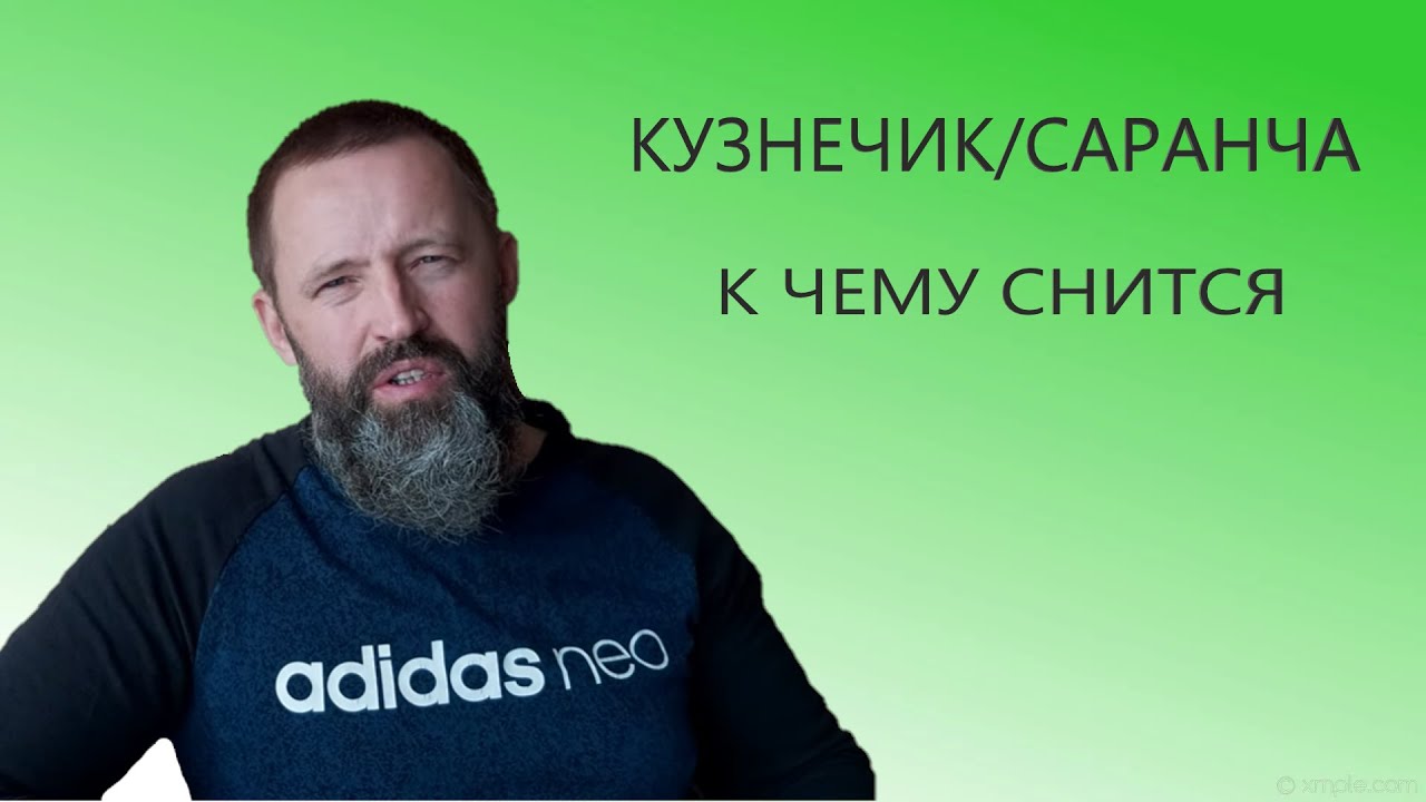 Кузнечик. К чему снится Саранча