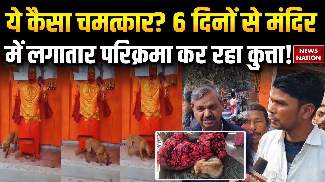 UP के Bijnor में अनोखी चमत्कार, 6 दिनों से मंदिर में लगातार परिक्रमा कर रहा कुत्ता! | Trending News